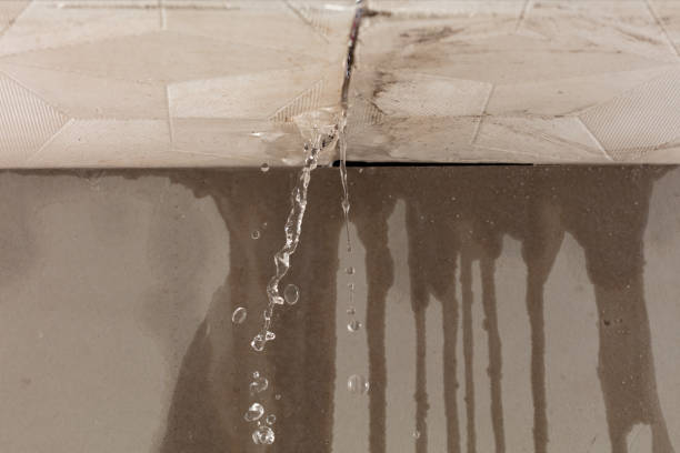 Professional Emergency Water Removal technician working in Vanleer, TN
